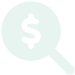 money magnify icon